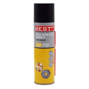 BEST PAS SÖKÜCÜ 250 ML