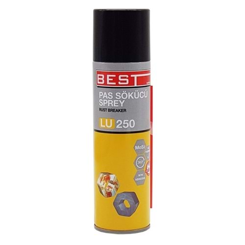 BEST PAS SÖKÜCÜ 250 ML