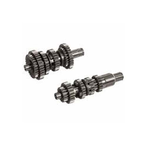 ŞANZIMAN KOMPLE APİ CG 125