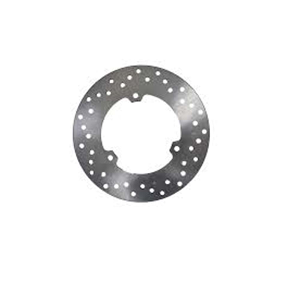 FREN DİSKİ ARKA R25